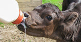 Merricks Calf Nurser Bottle 3 liter (14882)